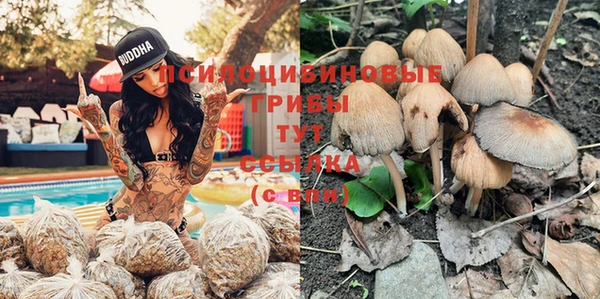 ALPHA-PVP Щигры