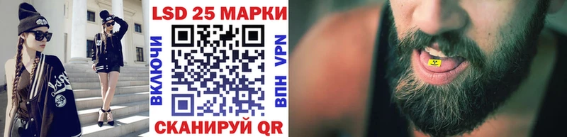 где найти Карасук Марки N-bome 1500мкг