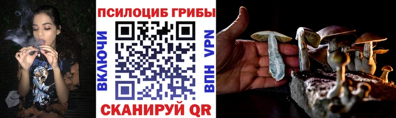 где купить наркоту  Карасук  Галлюциногенные грибы Psilocybine cubensis 
