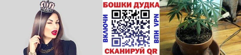 Бошки Шишки индика Карасук